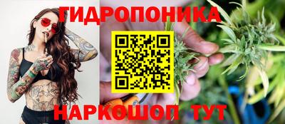 гидропоника Братск