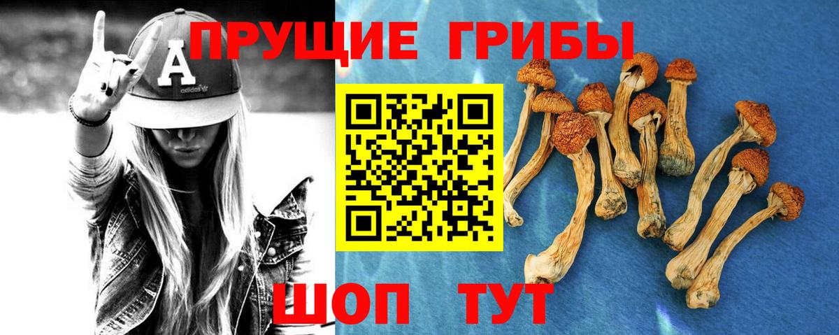 Галлюциногенные грибы GOLDEN TEACHER Елабуга