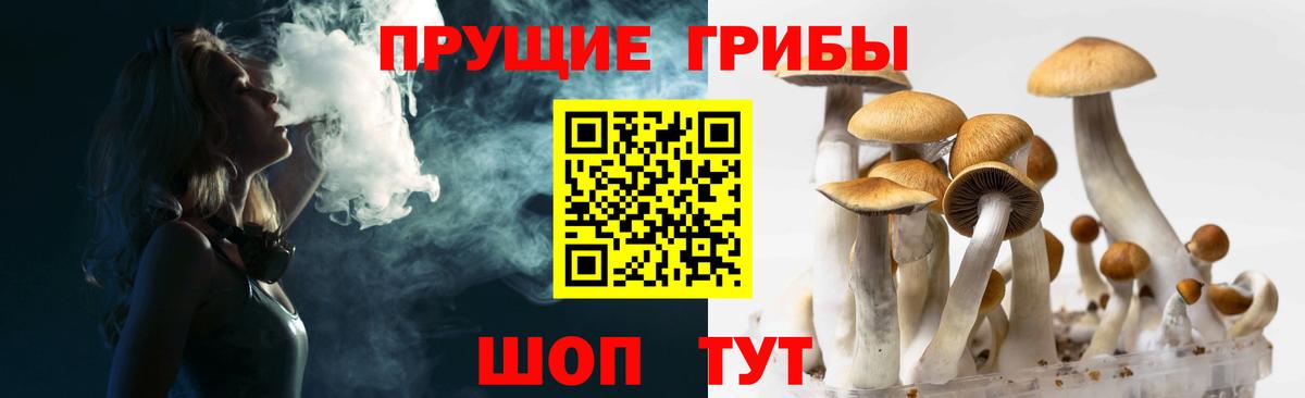 Галлюциногенные грибы MAGIC MUSHROOMS  Галлюциногенные грибы Psilocybe  Елабуга  Вход с VPN 